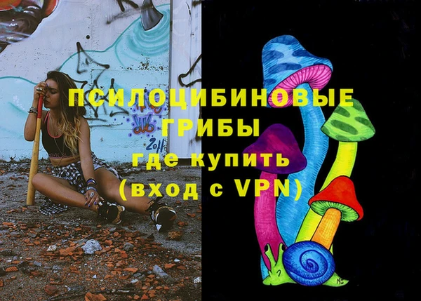 мдпв Нязепетровск