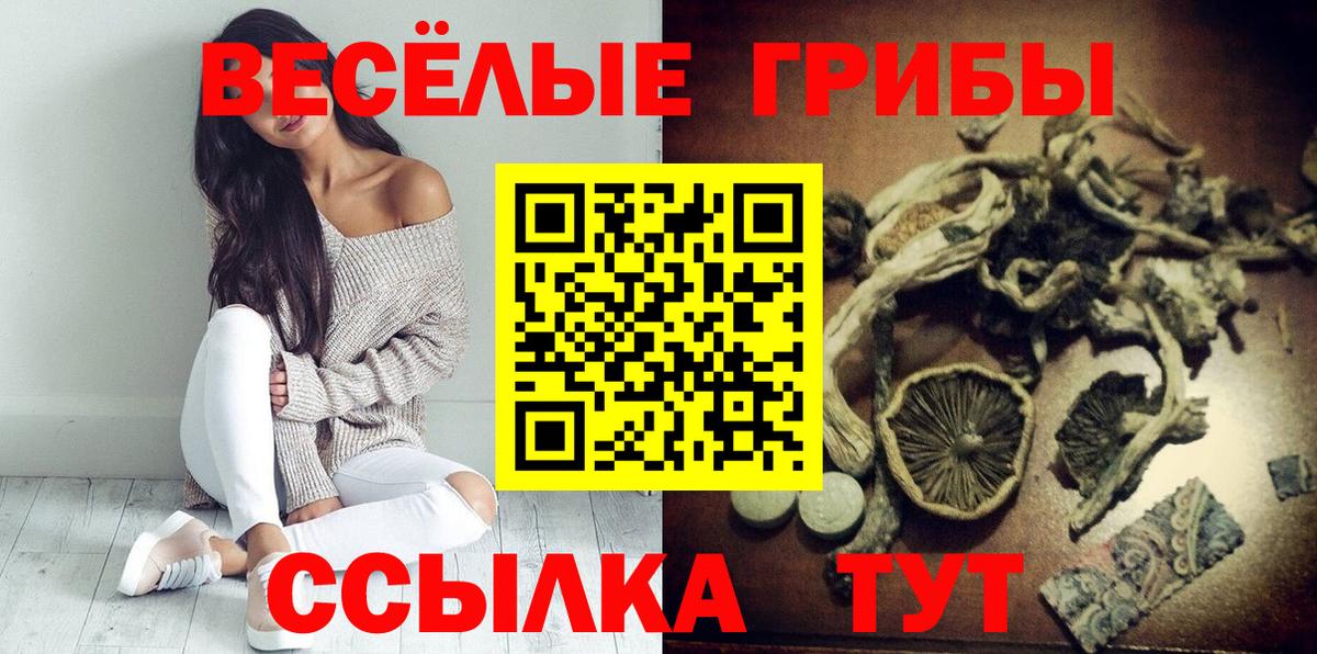 Псилоцибиновые грибы GOLDEN TEACHER Азнакаево