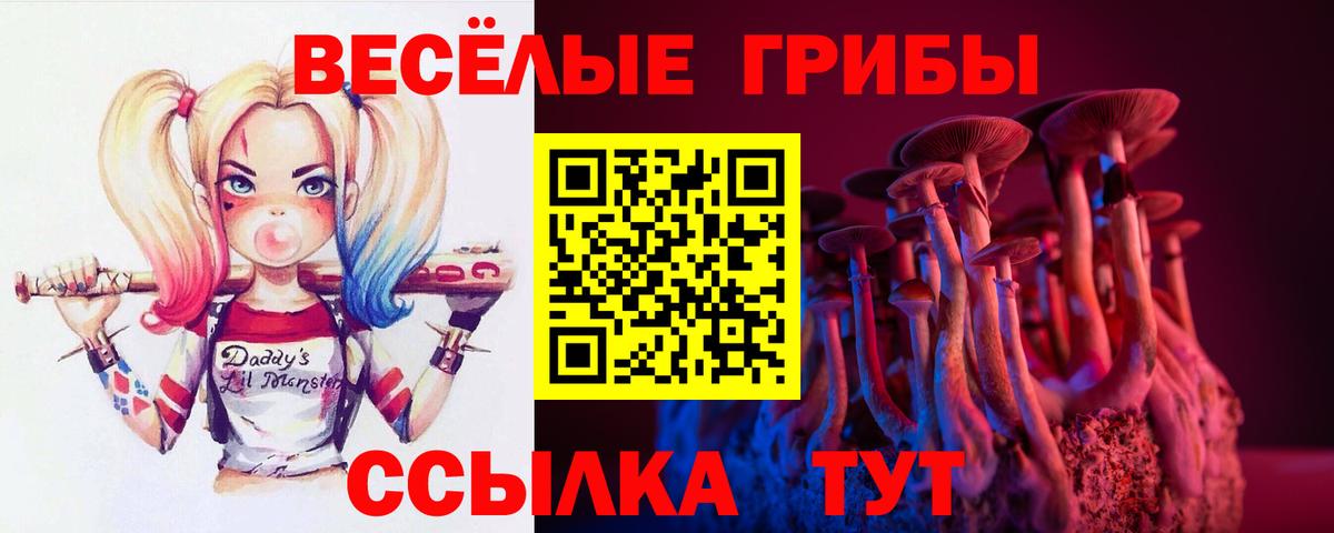 Псилоцибиновые грибы прущие грибы  Вход с VPN  Азнакаево 