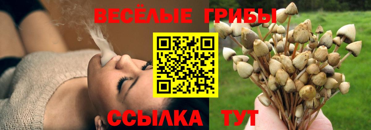 Псилоцибиновые грибы ЛСД  Вход с VPN  Азнакаево  Галлюциногенные грибы прущие грибы 