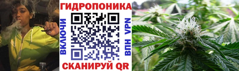 где купить   Азнакаево  дарк нет клад  Марихуана Amnesia 